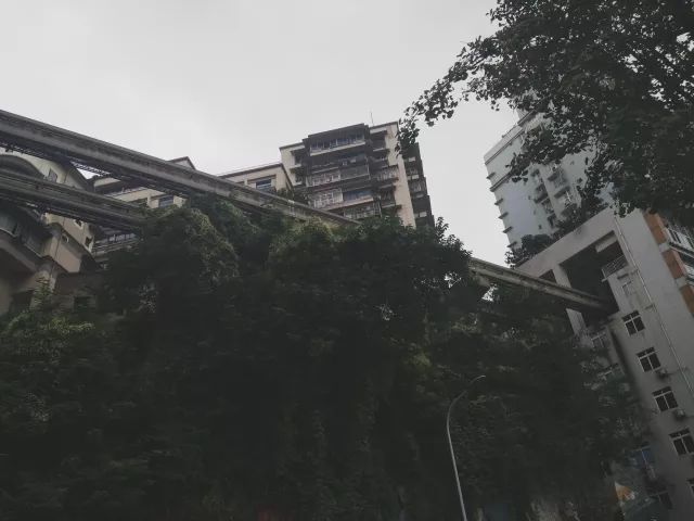 图片20.jpg