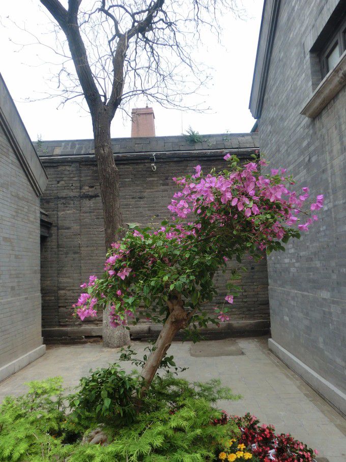 图片47.jpg