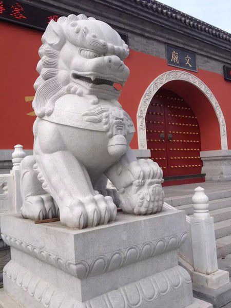 图片56.jpg