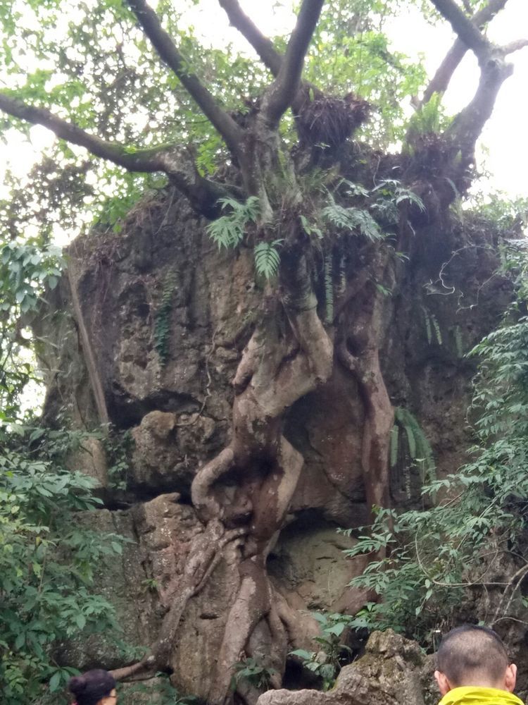 图片9.jpg