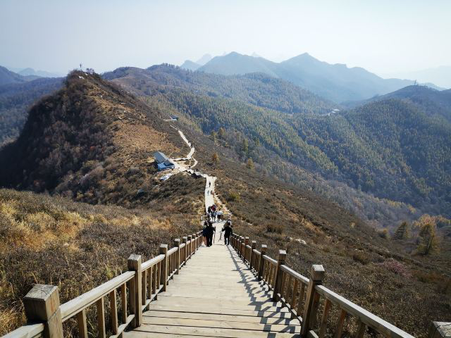 1607680637462314.png 图片6.png